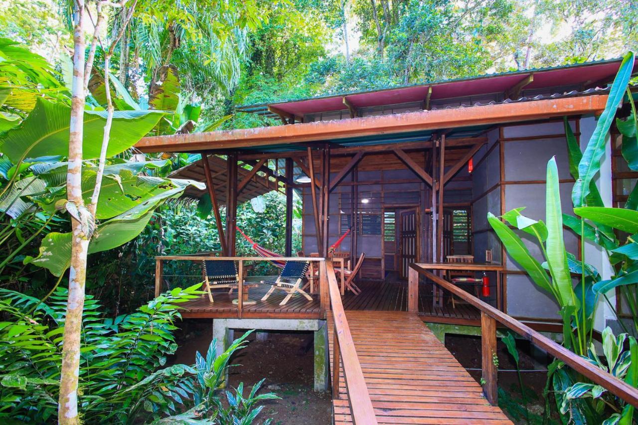 La Kukula Lodge Puerto Viejo de Talamanca Exteriör bild