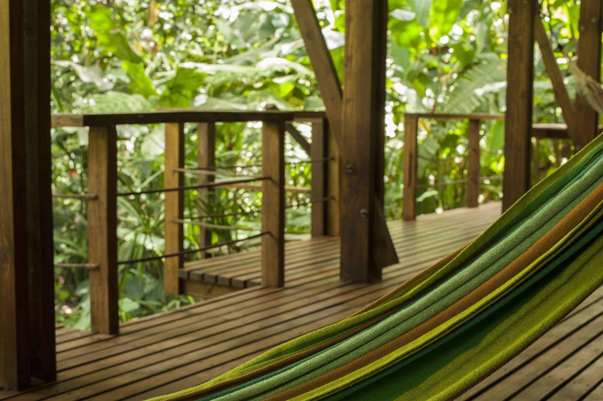 La Kukula Lodge Puerto Viejo de Talamanca Exteriör bild