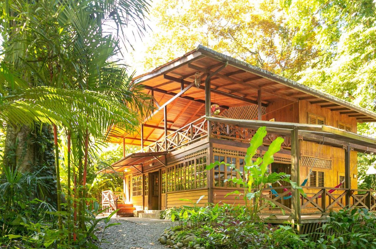 La Kukula Lodge Puerto Viejo de Talamanca Exteriör bild